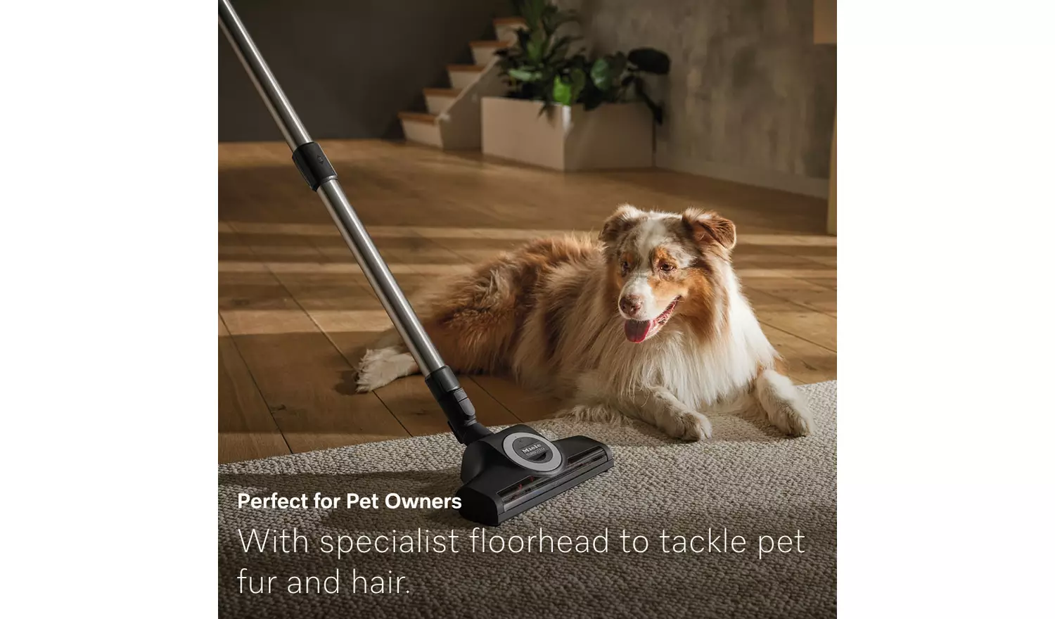 Miele Guard L1 Cat & Dog Pet Cylinder Corded Vacuum Cleaner - Image 7