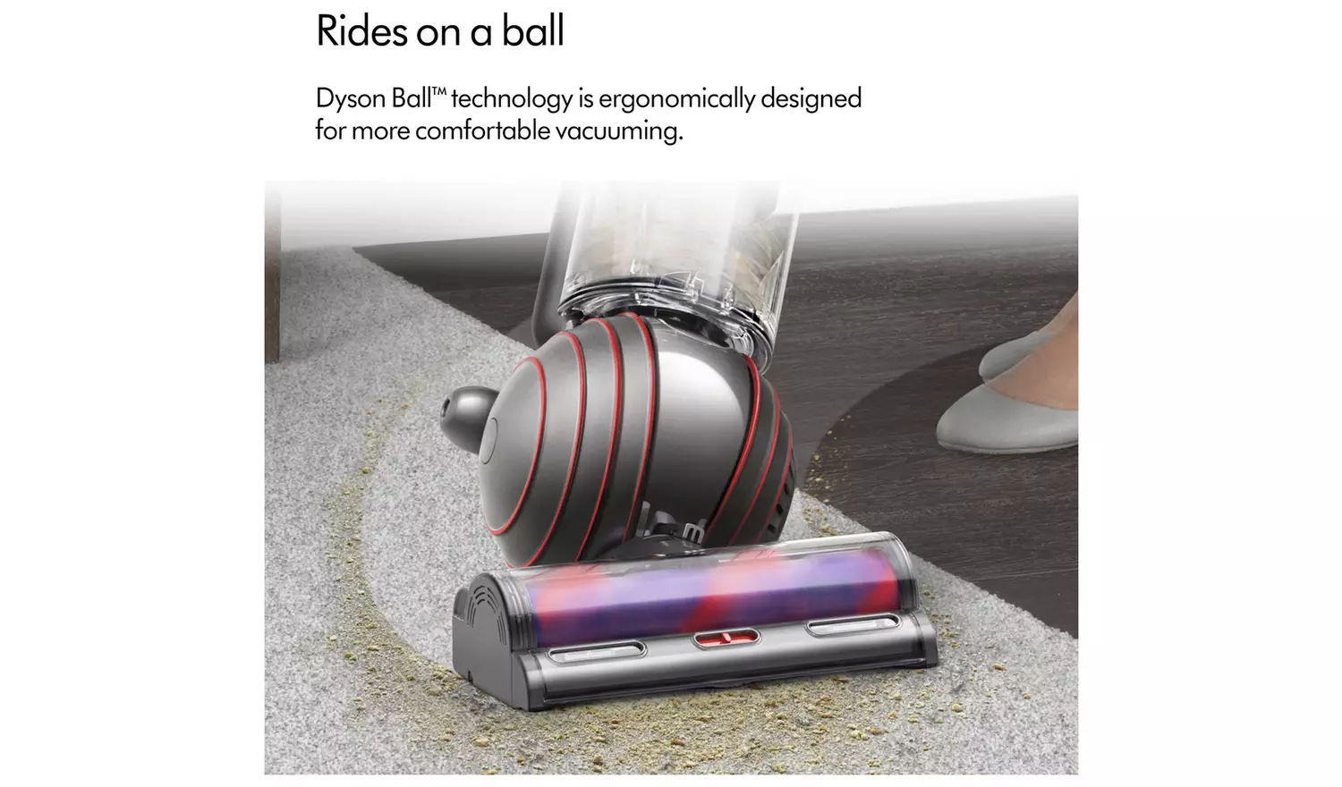 Dyson Ball Animal Origin Upright Corded Pet Vacuum Cleaner - Image 3