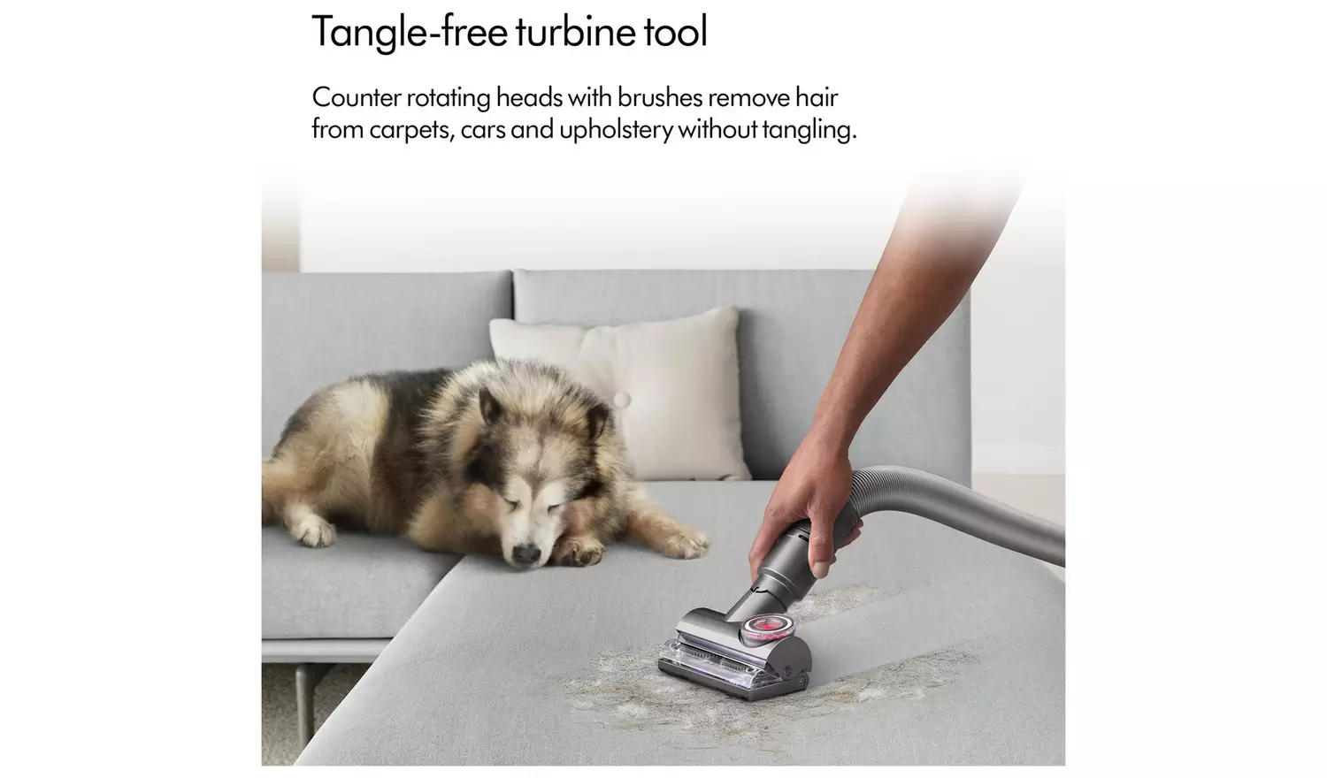 Dyson Ball Animal Multifloor Corded Upright Vacuum Cleaner - Image 2